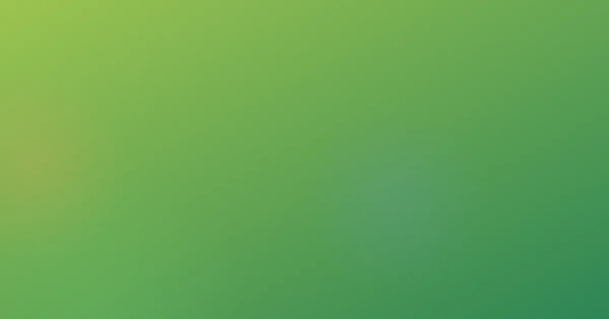 美式禁忌3是什么：一篇讲透